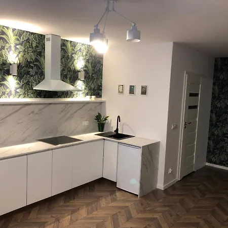 Apartament Na Olawskiej Vratislav